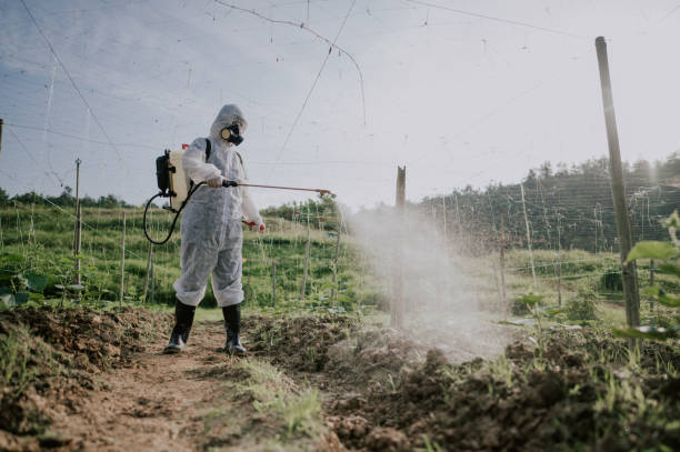 Best Affordable Pest Control Services  in Sharpsburg, PA
