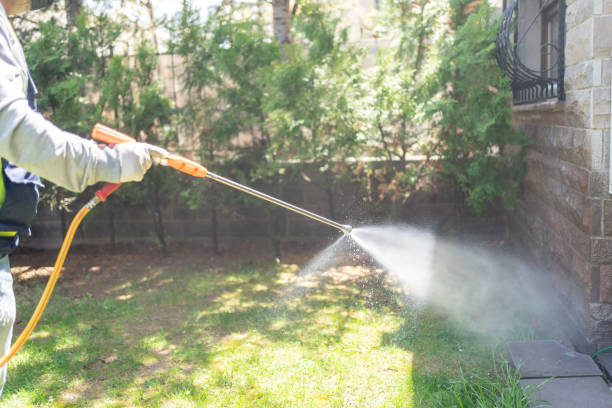Best Wasp Removal Services  in Sharpsburg, PA