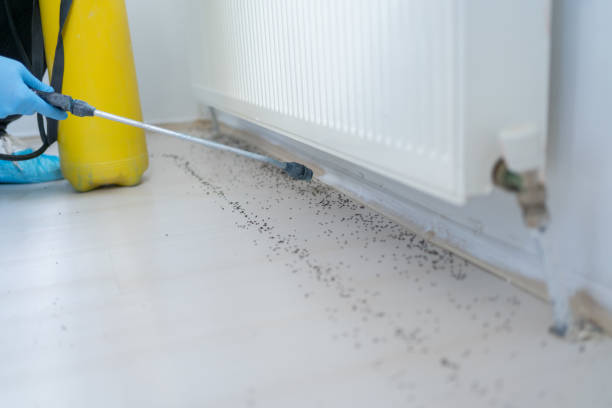 Sharpsburg, PA Pest Control Company