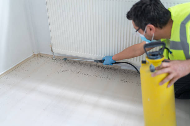 Best Emergency Pest Control  in Sharpsburg, PA